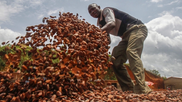 Aus dem Archiv: Ghana und Elfenbeinküste – höherer Kakaopreis