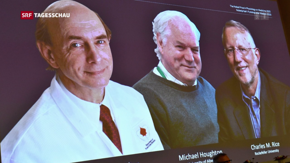 Aus dem Archiv: Nobelpreis an Entdecker des Hepatitis-C-Virus