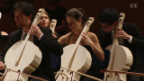 Video «Das Beethoven-Experiment – Absturzgefahr am Lucerne Festival» abspielen