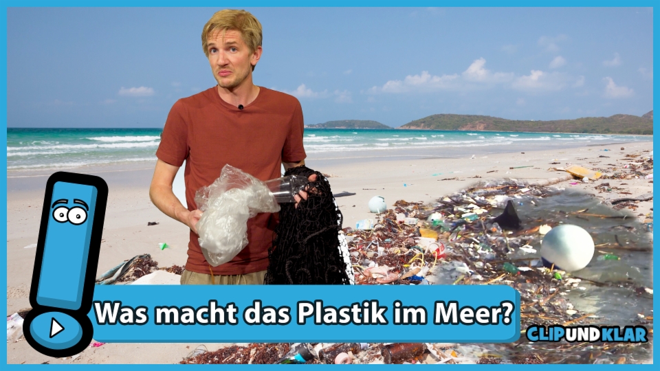 Wie kommt das viele Plastik ins Meer?