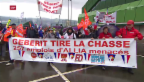 Video «Luzerner Zwangsferien, Franzosen auf den Barrikaden, Militärschau» abspielen