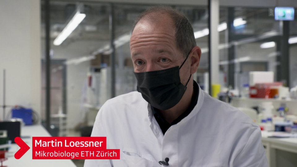 Mirkrobiologe Martin Loessner will Bakteriophagen genetisch effektiver machen