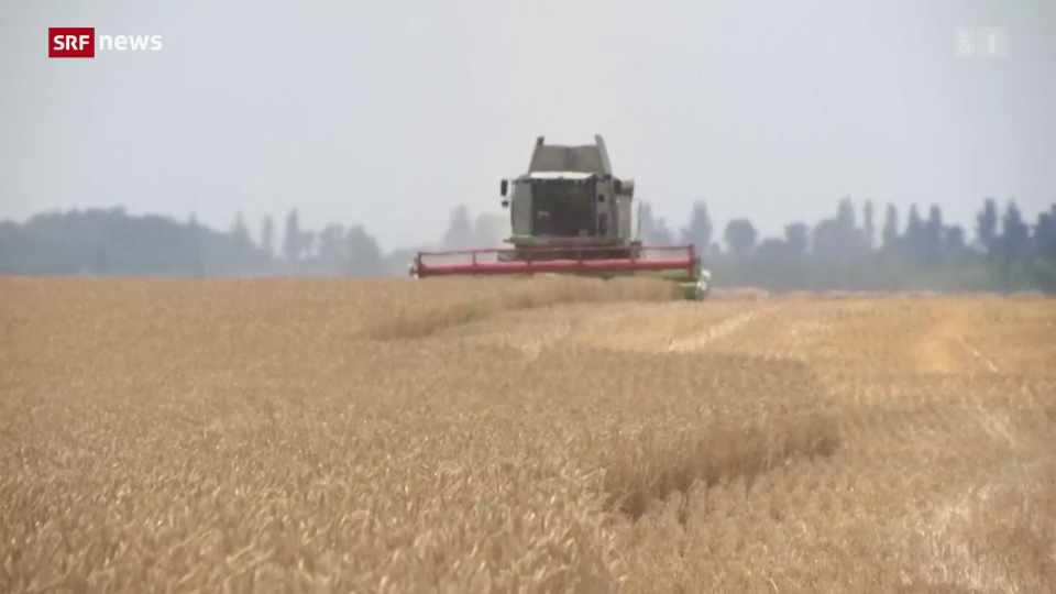 Bauern in der Ukraine haben Mühe, ihr Getreide loszuwerden