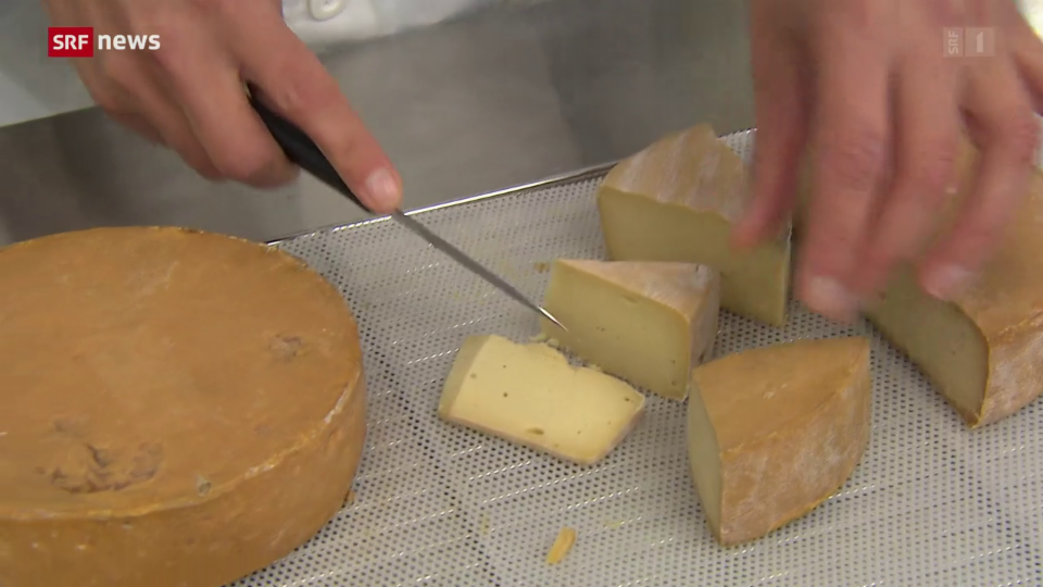 Die Zukunft beginnt: Käse-Alternativen ohne Käse