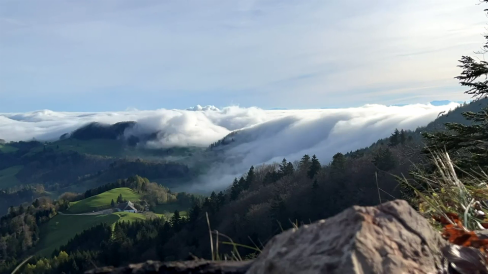 Nebelwelle über dem Jura, Belchenfluh, 11. Nov., Romy Lienhard