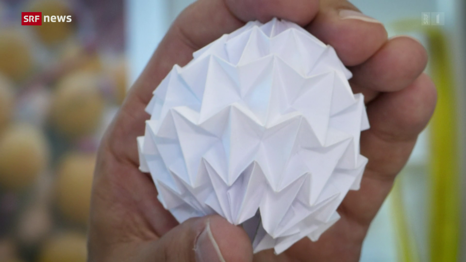 «Die Idee»: Menschliches Herz aus dem 3D-Drucker