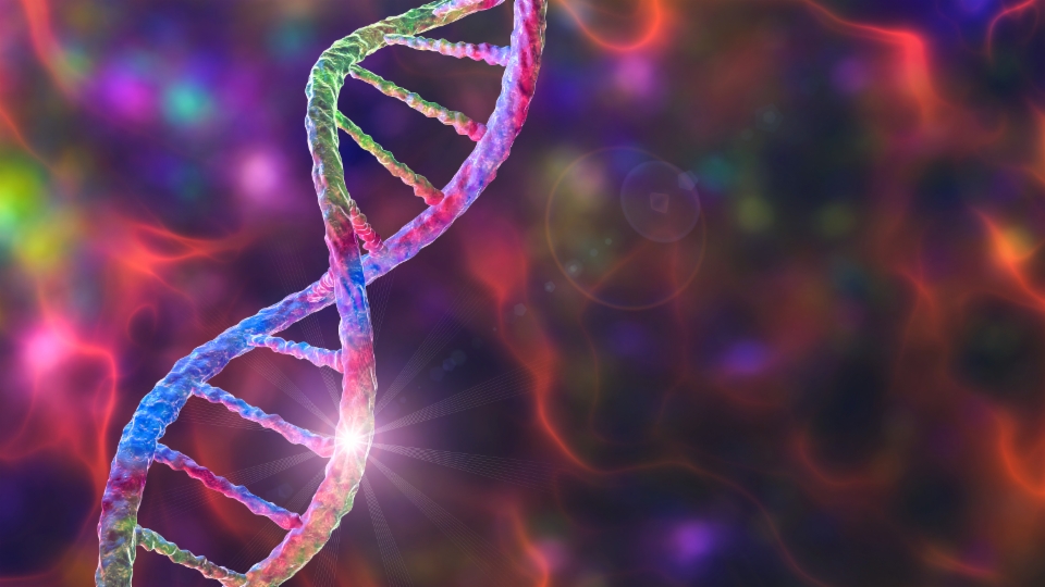 DNA-Entschlüsselung verspricht medizinische Fortschritte