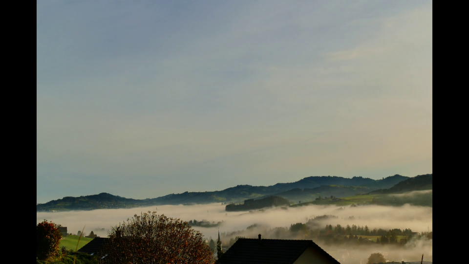 Sonnenaufgang & Nebelschwaden in Waldstatt/AR, 12. Nov., Peter Eicher