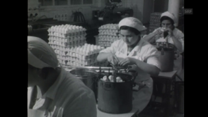 Video «Beruf Eier-Aufschlägerin (1970)» abspielen