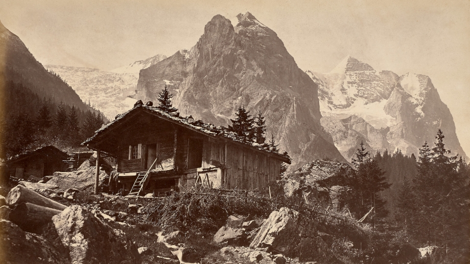 Nach der Natur: Schweizer Fotografie im 19. Jahrhundert