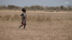 Video «ECO Spezial: Entwicklungshilfe-Milliarden bringen wenig» abspielen