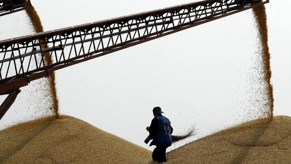 China baut seine Getreidereserven immens aus