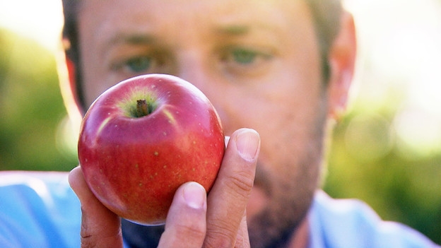 Apfel-Allergie – Neue Früchte ermöglichen trotzdem Genuss