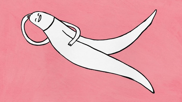 Die Klitoris – die grosse Unbekannte