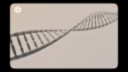 Video «Was ist die DNA? (Folge 20)» abspielen
