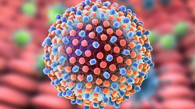 Hepatitis C – Ausrottung in Reichweite